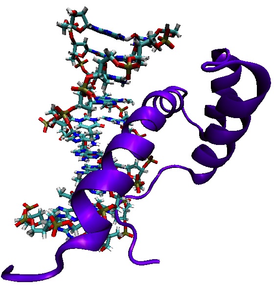 the matysiak lab university of maryland